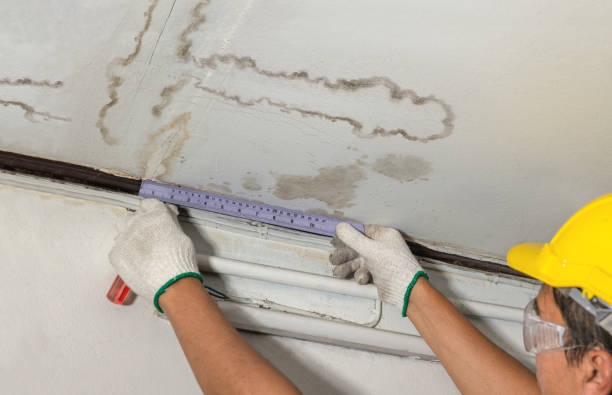 Reliable Burst Pipe Cleanup contractor in Sheridan, MI by Local Water Damage Repair